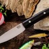 Bark River Knives Bird & Trout CPM 154