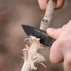 TOPS KNIVES TOPS Crow Hawke Knife