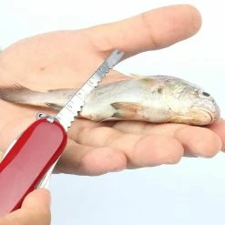 Victorinox Swiss Army Multi-Tool SwissChamp Pocket Knife 28 Victorinox Swiss Army Multi-Tool SwissChamp Pocket Knife