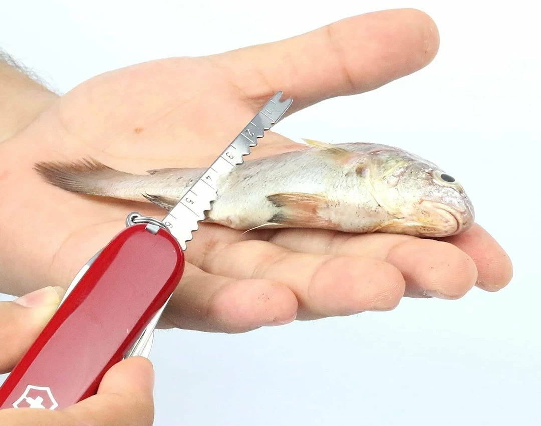 Victorinox Swiss Army Multi-Tool SwissChamp Pocket Knife 15 Victorinox Swiss Army Multi-Tool SwissChamp Pocket Knife